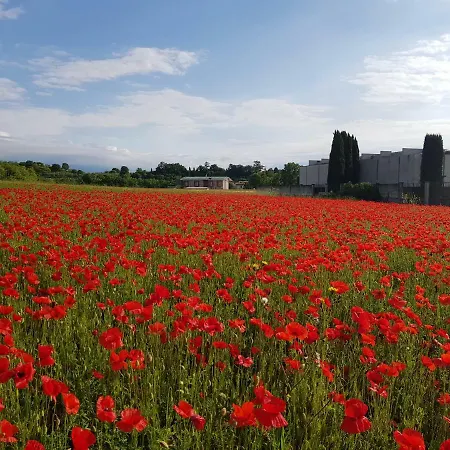 San Felice Daire *